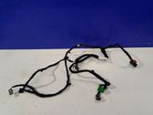 Other wiring loom
