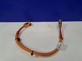 Plug wire