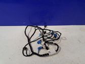 Other wiring loom