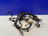 Other wiring loom