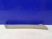 (A) pillar trim
