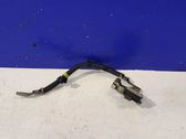 Negative earth cable (battery)