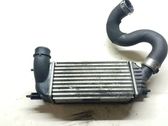 Intercooler radiator