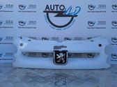 Front bumper upper radiator grill