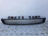 Front bumper lower grill