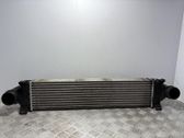 Intercooler radiator