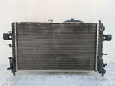 Electric radiator cooling fan