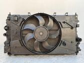 Electric radiator cooling fan