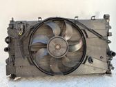 Electric radiator cooling fan