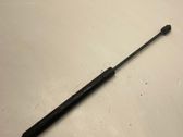 Tailgate/trunk strut/damper