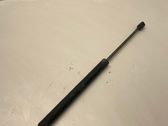 Tailgate/trunk strut/damper