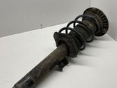 Front shock absorber with coil spring