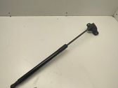 Tailgate/trunk strut/damper