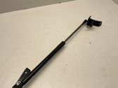 Tailgate/trunk strut/damper