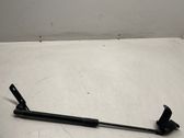 Tailgate/trunk strut/damper