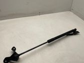Tailgate/trunk strut/damper