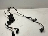 Other wiring loom