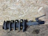 Front shock absorber with coil spring