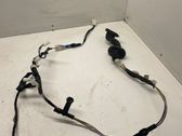 Rear door wiring loom