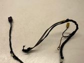 Other wiring loom