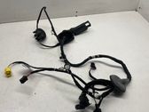 Front door wiring loom