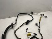 Front door wiring loom