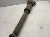 Rear shock absorber/damper
