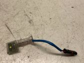 Front door handle light (exterior)