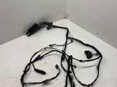 Front door wiring loom