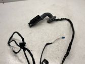 Rear door wiring loom