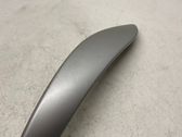 Rear door trim (molding)