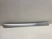 Front door trim bar