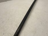 Windshield trim