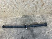 Drive shaft (set)