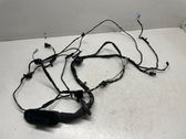 Front door wiring loom