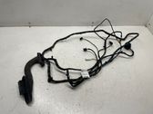 Rear door wiring loom