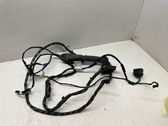 Rear door wiring loom