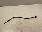 Abgastemperatursensor