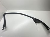 Front door glass trim molding