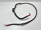 Wires (starter motor)
