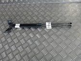 Tailgate/trunk strut/damper