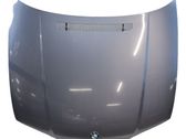 Motorhaube