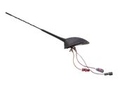 Radion antenni