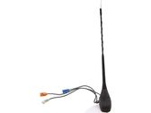 Radion antenni