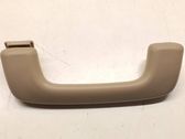 Front interior roof grab handle