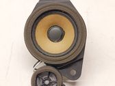 Panel speaker