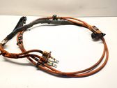 Other wiring loom