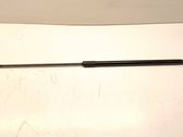 Front bonnet/hood damper/strut