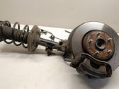 Front wheel hub spindle knuckle