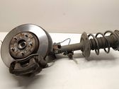Front wheel hub spindle knuckle